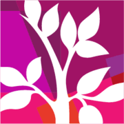 Rambam Health Care Campus — Institution identity